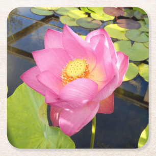 Water Lily Paper Coaster