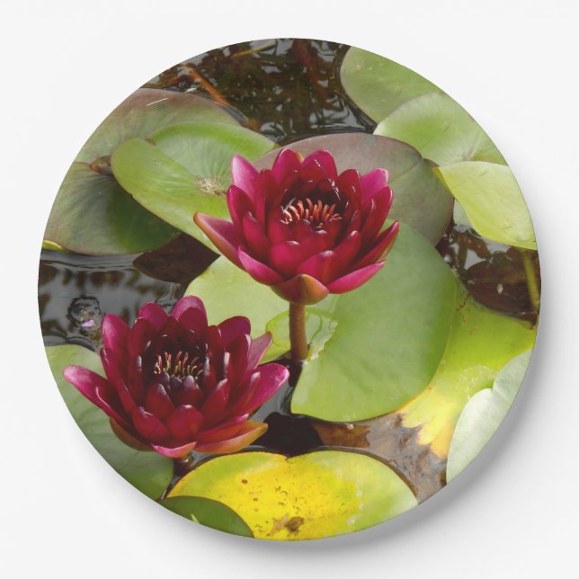 Water Lily Paper Plate (Front)