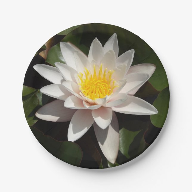 Water Lily Paper Plates (Front)