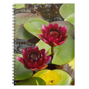 Water Lily Photo Notebook