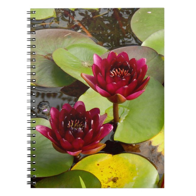 Water Lily Photo Notebook (Front)