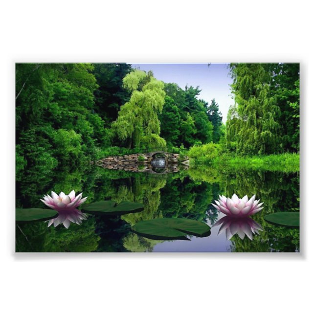Water Lily Photographic Print (Front)