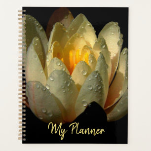 Water Lily Planner