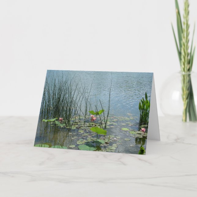 Water Lily Pond Card (Front)
