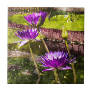 Water Lily Pond Ceramic Tile