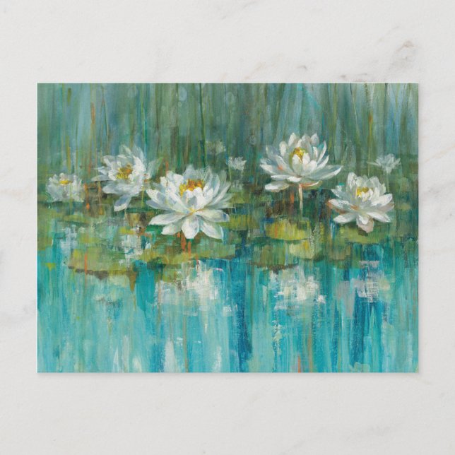 Water Lily Pond Postcard (Front)