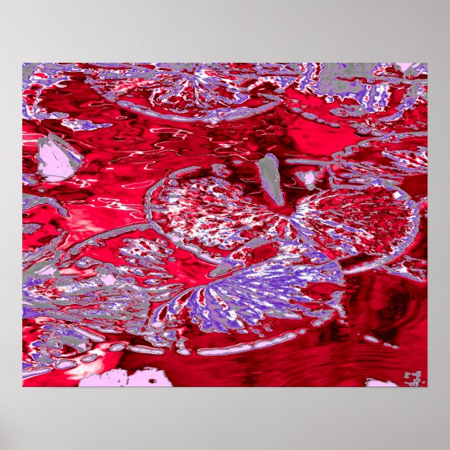 WATER LILY POND POSTER (Front)