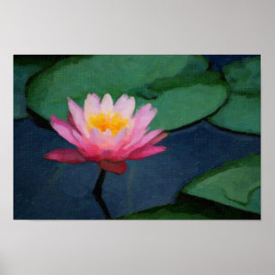 Water Lily Poster
