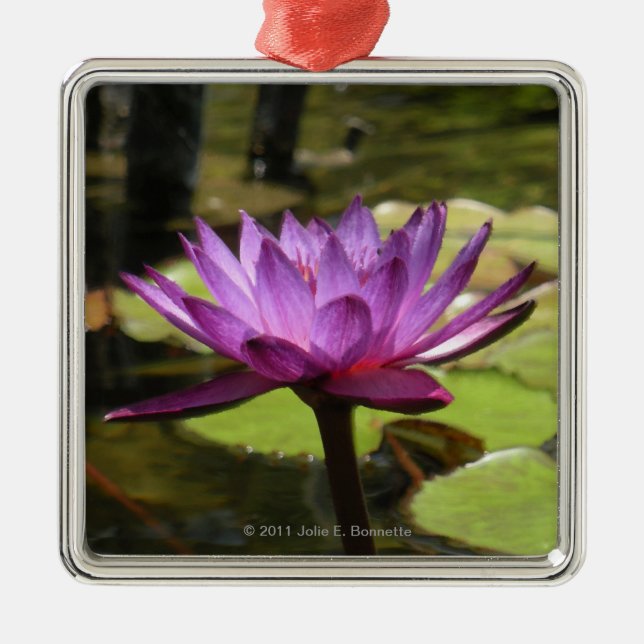 Water Lily Premium Square Ornament (Front)