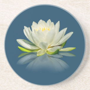 Water Lily Reflected on Blue Water Sandstone Coast Coaster
