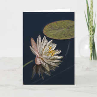 Water Lily Reflection Card