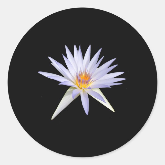 Water Lily Stickers (Front)