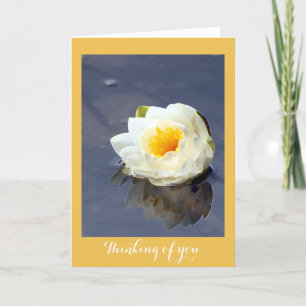 Water lily thinking of you card