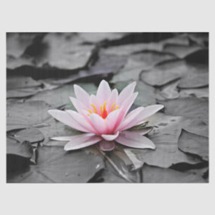 water lily tissue paper