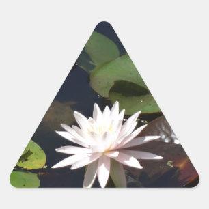 Water Lily Triangle Sticker