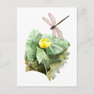 water-lily watercolor postcard