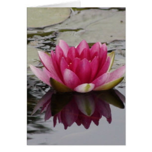 Water Lily Wedding Card