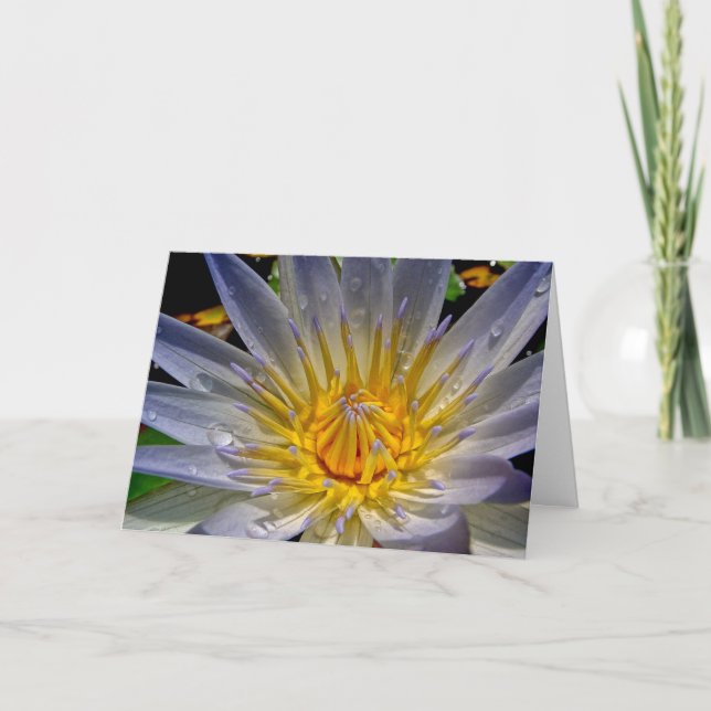 Water Lily with Prayer Sympathy Card (Front)