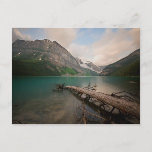 Water Logged Postcard