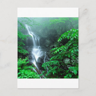Water Lower Doyles River Falls Shenandoah Postcard