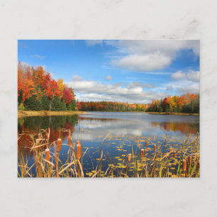 Water   Mabel Lake Canada Postcard