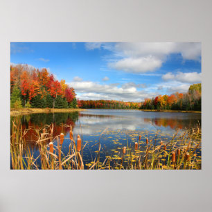 Water   Mabel Lake Canada Poster