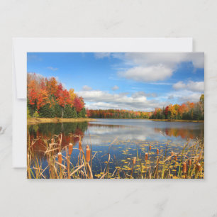 Water Mabel Lake Canada Thank You Card