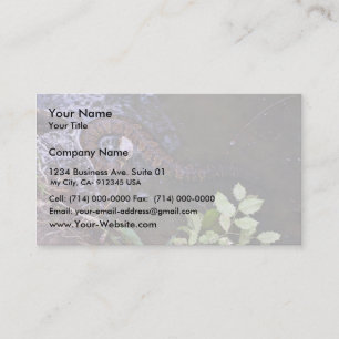 Water moccasin, cottonmouth, Agkistrodon piscivoru Business Card