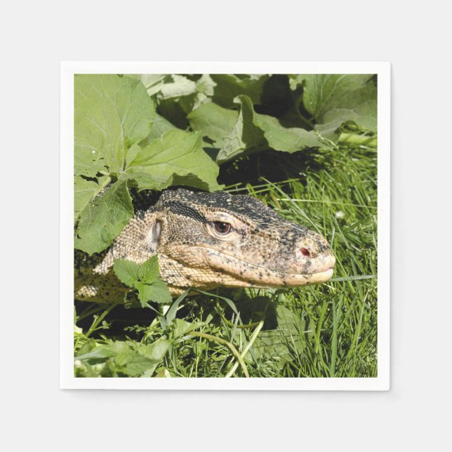 Water monitor lizard napkin (Front)