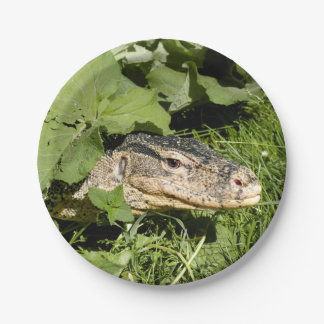 Water monitor lizard paper plate