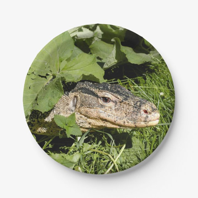 Water monitor lizard paper plate (Front)