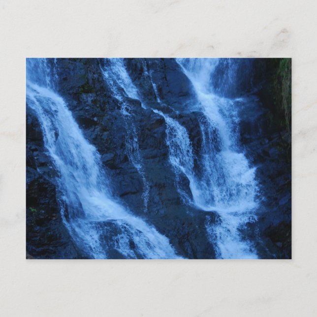 Water More Precious Than Gold Postcard (Front)