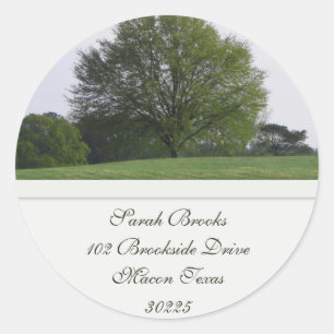 Water Oak Tree Address Label