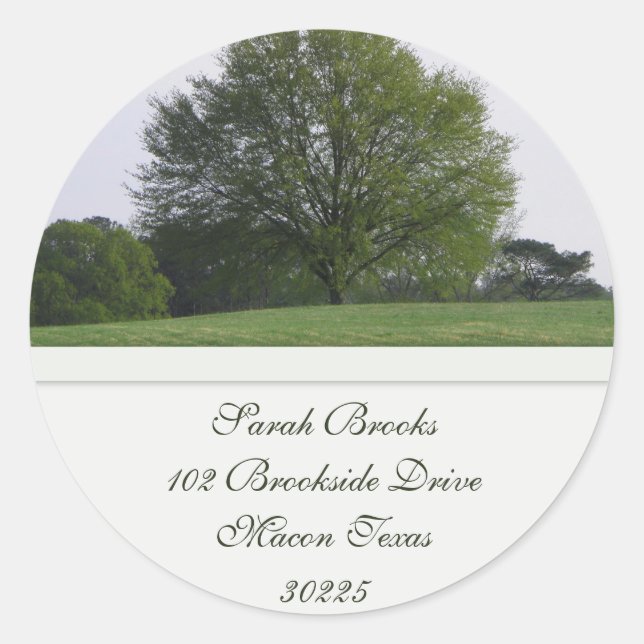 Water Oak Tree Address Label (Front)