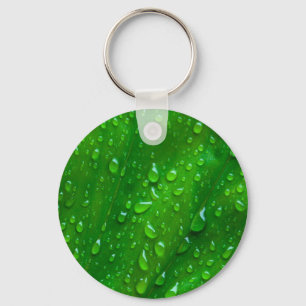 Water on a Leaf Key Ring