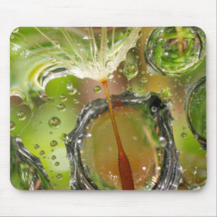 Water on dandelion seed, CA Mouse Pad