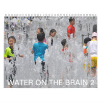 Water on the Brain 2