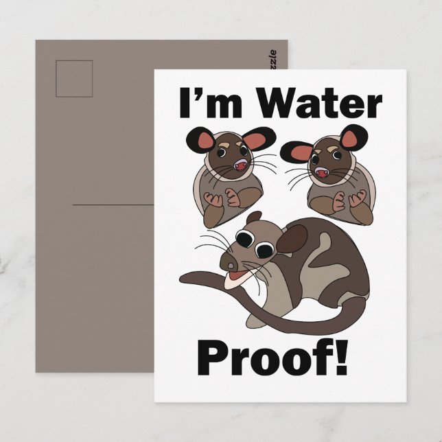 Water Opossum I'm Water Proof Funny  Postcard (Front/Back)