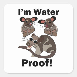 Water Opossum I'm Water Proof Funny  Square Sticker
