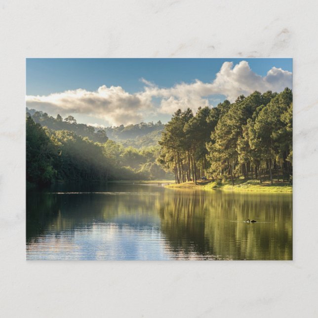 Water | Pang Oung Lake & Pine Forest Thailand Postcard (Front)
