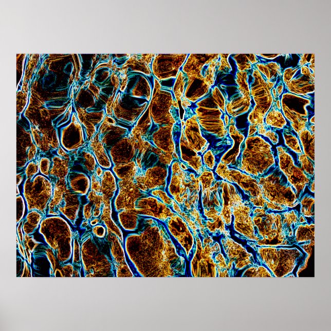 WATER POSTER (Front)