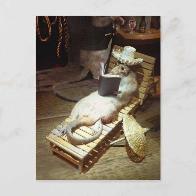 Water Rat enjoying Shipboard Life Postcard (Front)