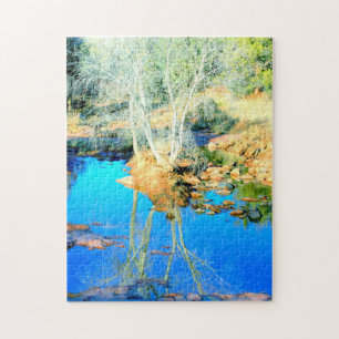 water reflection puzzle