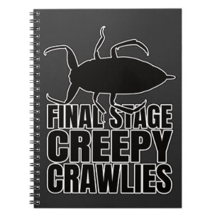 Water Scorpions Water Needle Bug – Entomology Geek Notebook