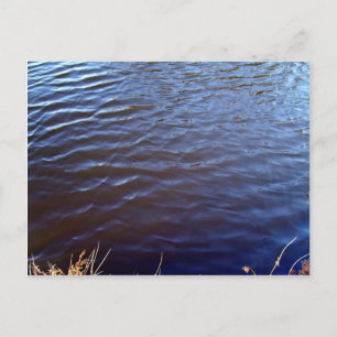 Water Surface Texture Postcard