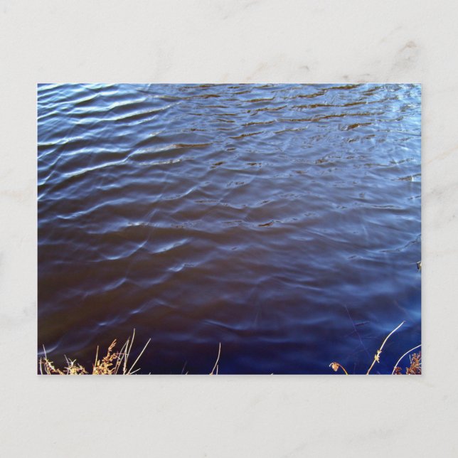 Water Surface Texture Postcard (Front)