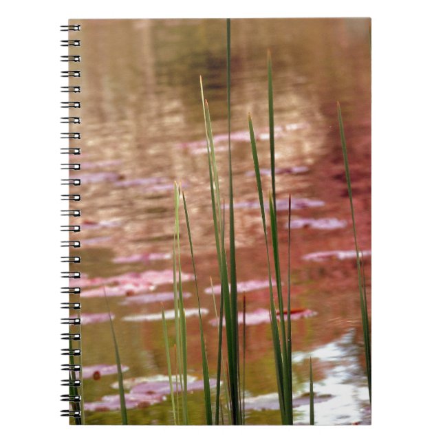 Water Through Reeds Notebook (Front)