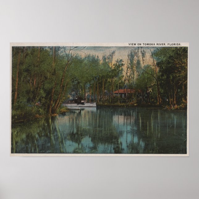 Water View of Tomoka River & Marsh, Florida Poster (Front)