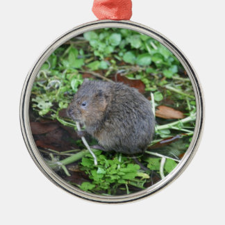 Water Vole Metal Tree Decoration