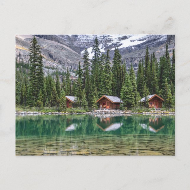 Water | Yoho National Park Canada Postcard (Front)